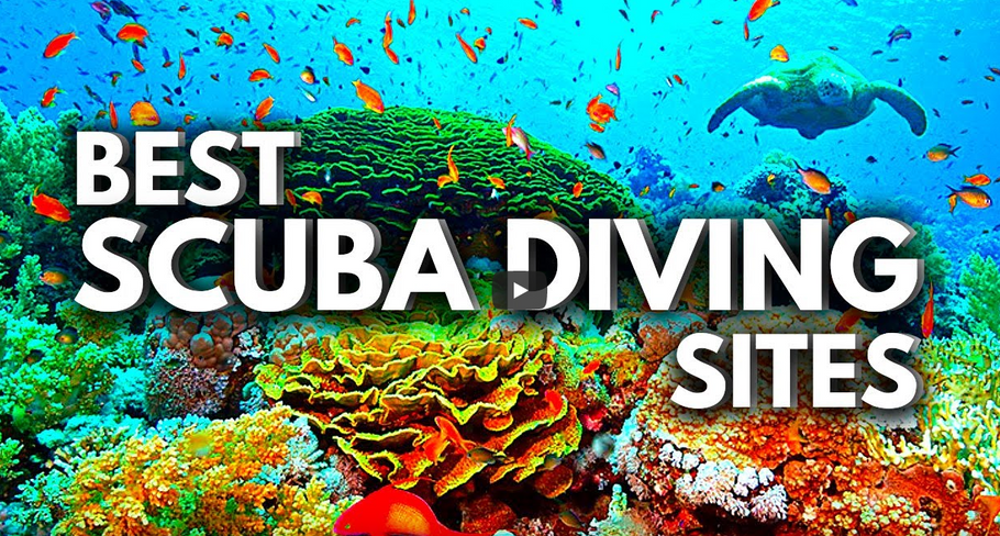 10 BEST Scuba Diving CARIBBEAN Destinations for 2023
