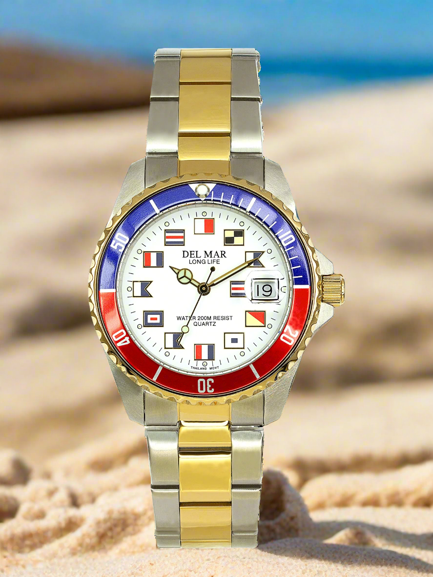 Two tone stainless steel watch black face blue red bezel